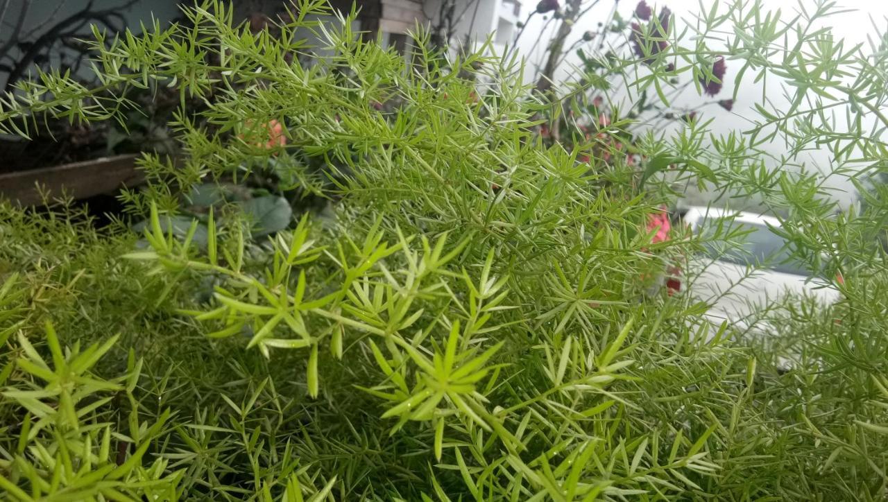 Ezhil Residency Hotel Tamilnadu - Tamilnadu - Kodaikanal Esterno foto