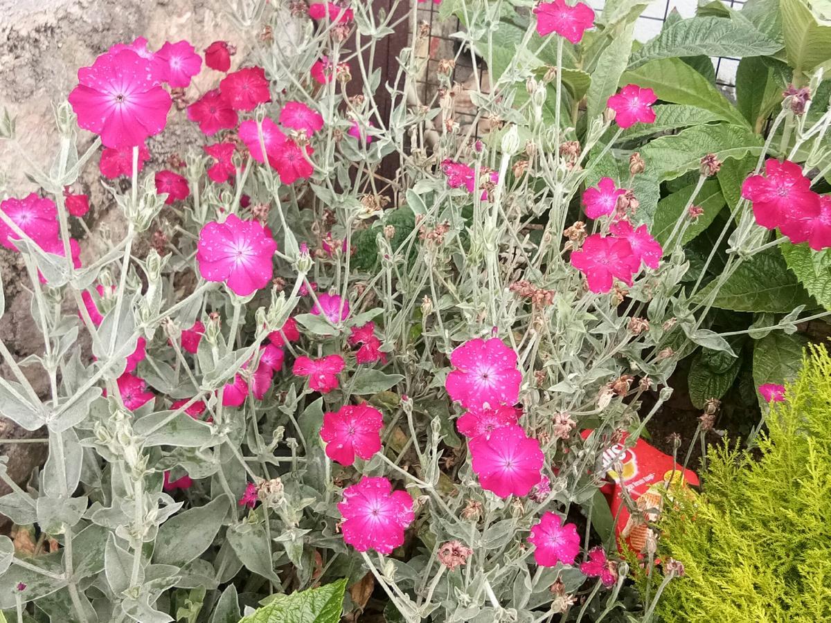 Ezhil Residency Hotel Tamilnadu - Tamilnadu - Kodaikanal Esterno foto
